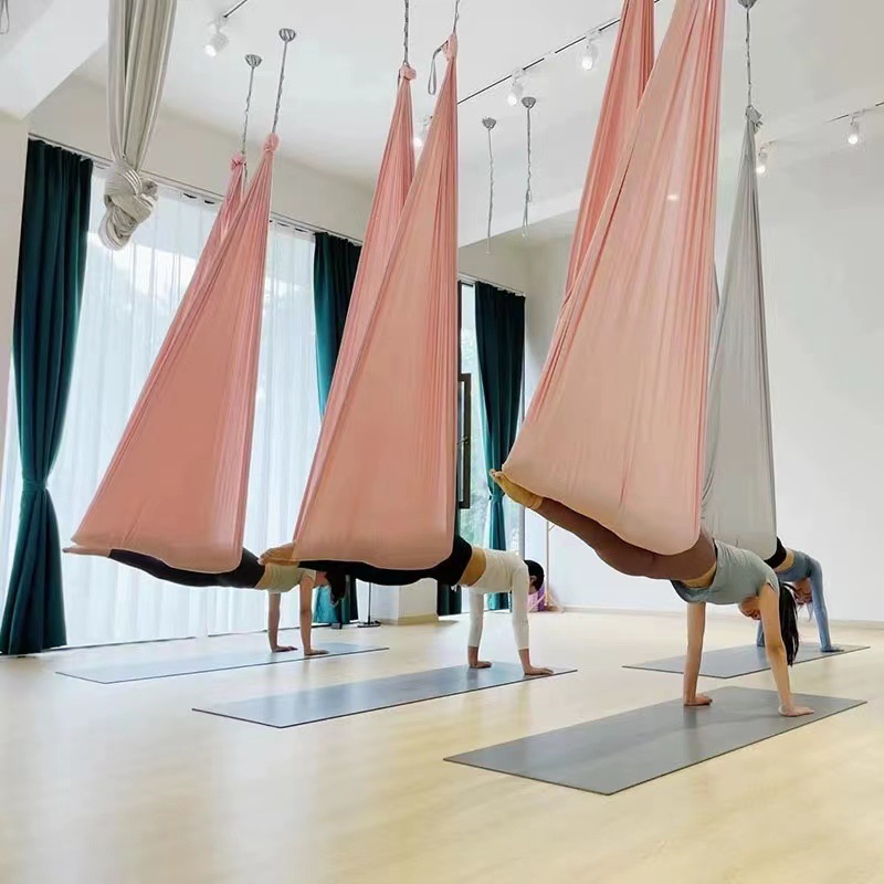 Aerial Yoga Hammock Swing for  - Home Gym Yoga Studio 评论和价格