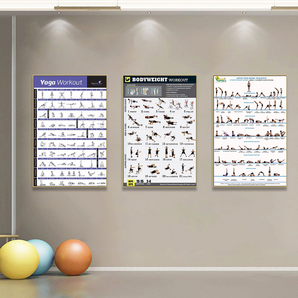 Gym Yoga Studio Workout Detail - Home Gym Yoga Studio 评论和价格