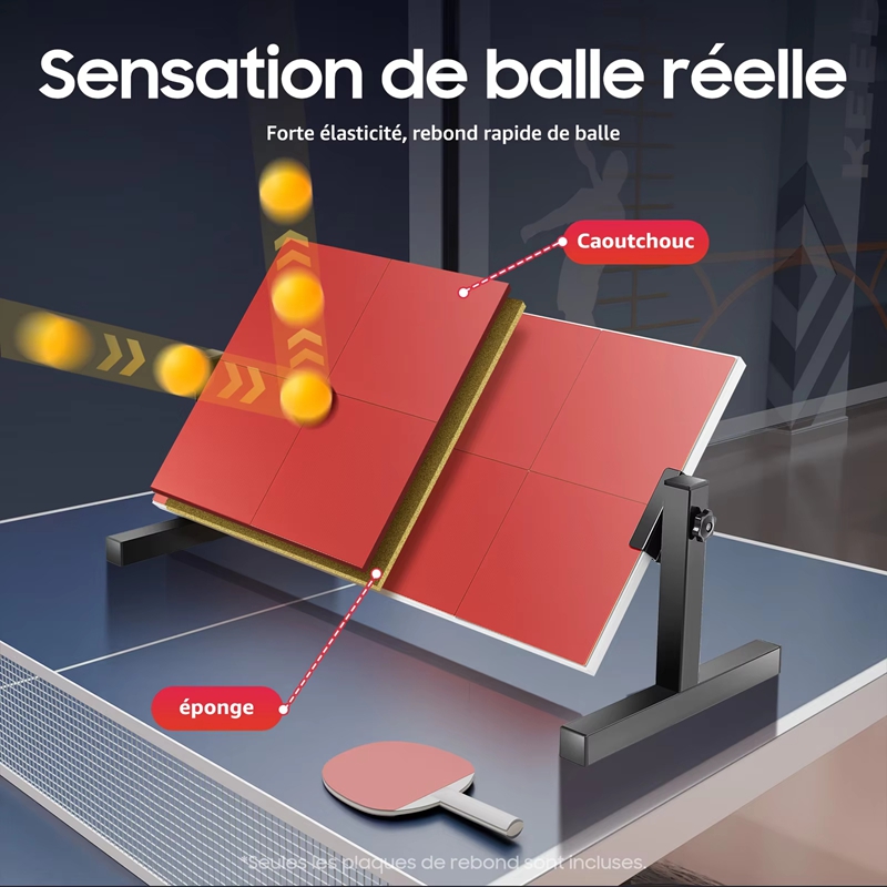 Desktop Table Tennis Rebound B - Home Gym Training Program 评论和价格