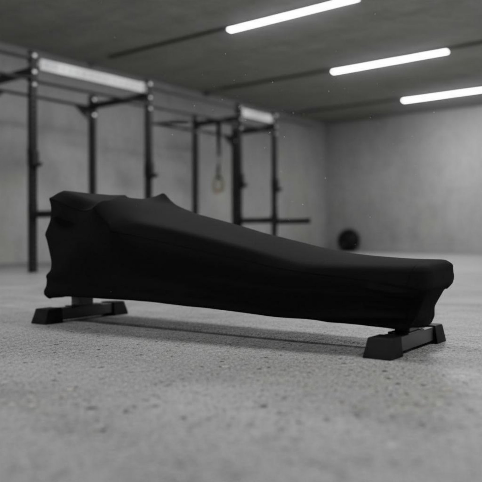Rowing Machine Cover Dustproof - Home Gym Gym 评论和价格